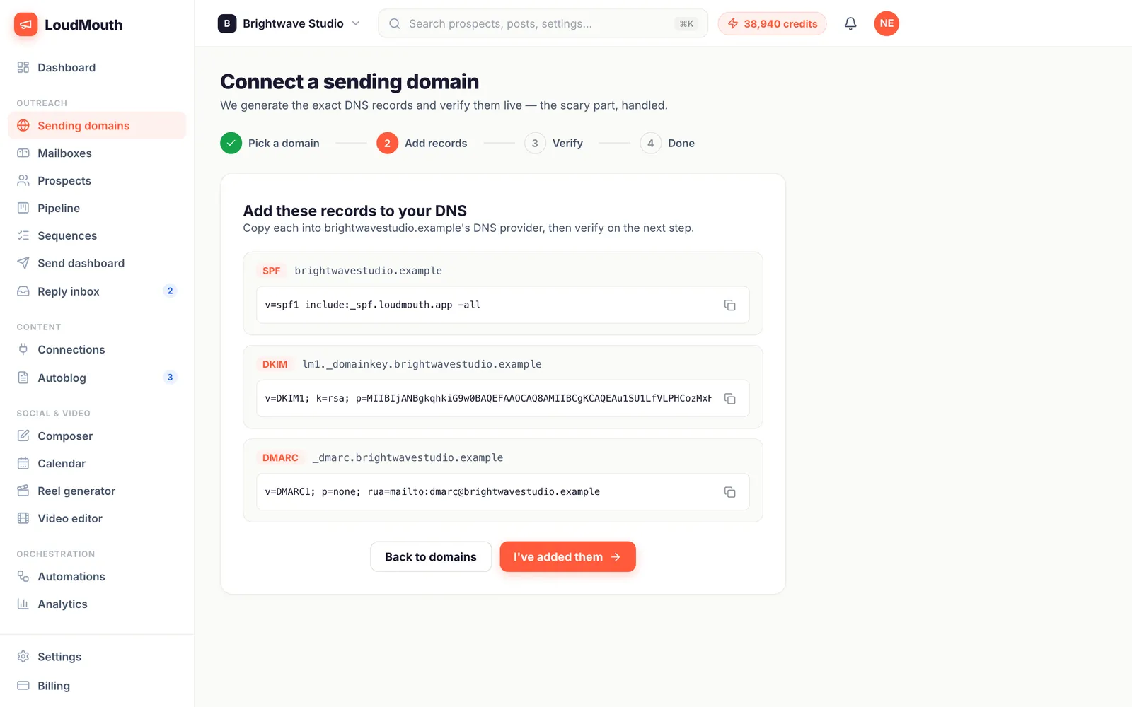 DNS setup step listing TXT records with copy buttons